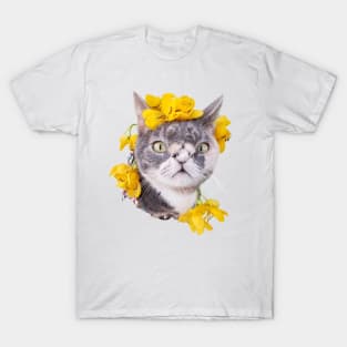 Willow The Beautiful Cat face T-Shirt